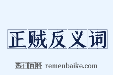 正贼反义词是什么意思的图片